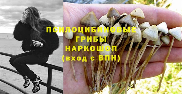 бутират Абаза